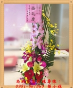 W003 開幕喜慶賀禮蘭花盆栽